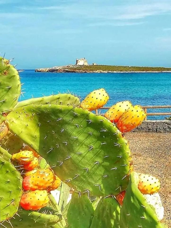 Villa Casa Guttuso 1 Portopalo Di Capo Passero 0*,